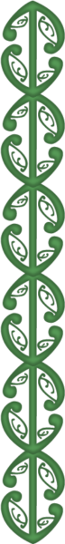 tall koru.fw tall koru.fw