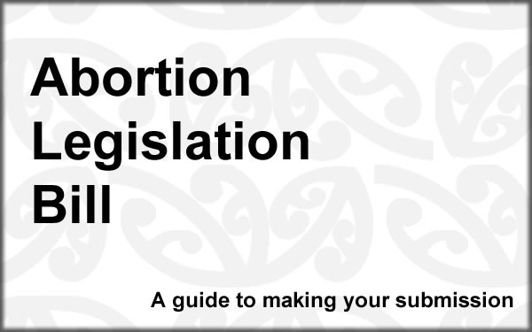 A guide to making submissions on the Abortion Legislation Bill
