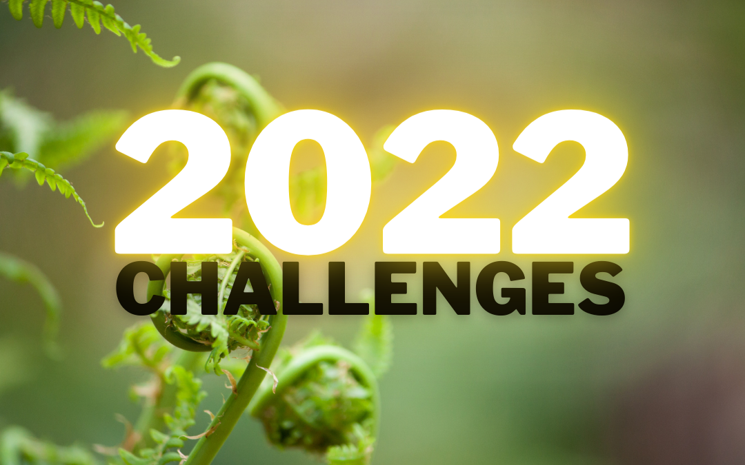 2022 Challenges