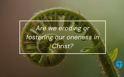 Are we eroding or fostering our oneness in Christ?